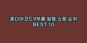 알리파파의 가성비 알리 제품 추천 36036 14