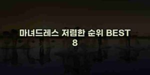 알리파파의 가성비 알리 제품 추천 23791 15