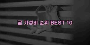 알리파파의 가성비 알리 제품 추천 8824 65