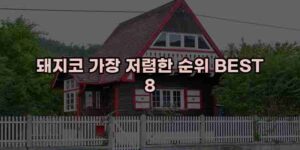 알리파파의 가성비 알리 제품 추천 14196 30