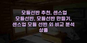 알리파파의 가성비 알리 제품 추천 29642 27