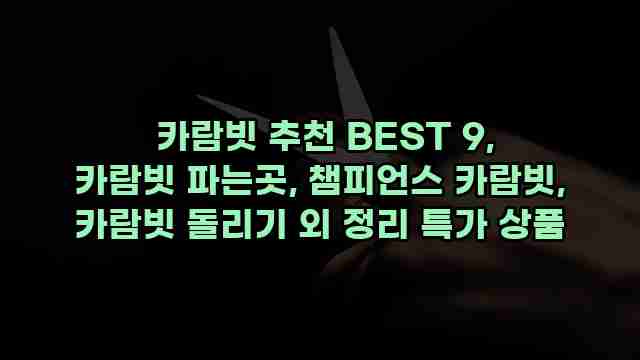  카람빗 추천 BEST 9, 카람빗 파는곳, 챔피언스 카람빗, 카람빗 돌리기 외 정리 특가 상품