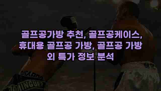  골프공가방 추천, 골프공케이스, 휴대용 골프공 가방, 골프공 가방 외 특가 정보 분석