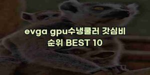 알리파파의 가성비 알리 제품 추천 7722 49