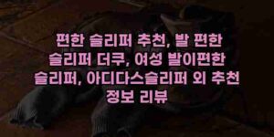 알리파파의 가성비 알리 제품 추천 9747 105