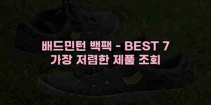 알리파파의 가성비 알리 제품 추천 9564 41