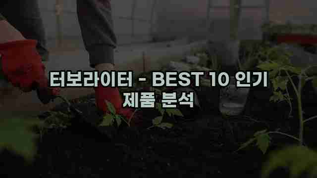 터보라이터 - BEST 10 인기 제품 분석