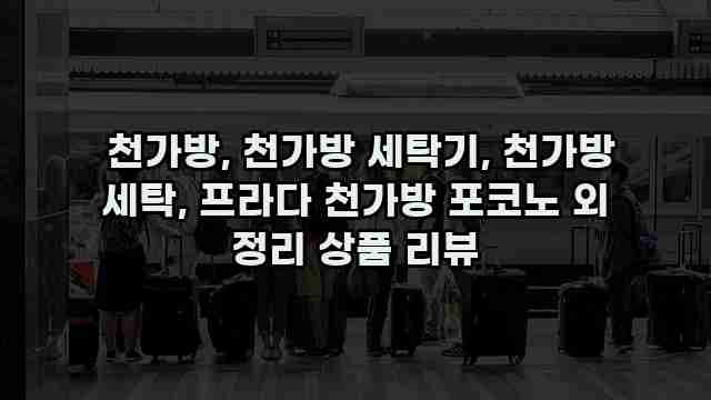  천가방, 천가방 세탁기, 천가방 세탁, 프라다 천가방 포코노 외 정리 상품 리뷰