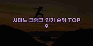 알리파파의 가성비 알리 제품 추천 9264 1