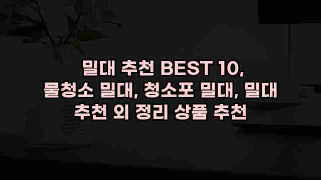  밀대 추천 BEST 10, 물청소 밀대, 청소포 밀대, 밀대 추천 외 정리 상품 추천