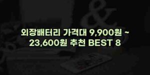 알리파파의 가성비 알리 제품 추천 9420 1