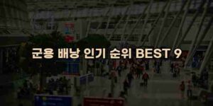 알리파파의 가성비 알리 제품 추천 9540 15