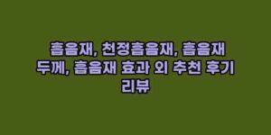 알리파파의 가성비 알리 제품 추천 9666 15