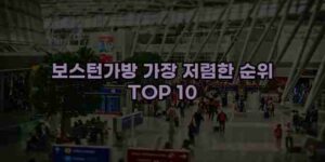 알리파파의 가성비 알리 제품 추천 30244 12