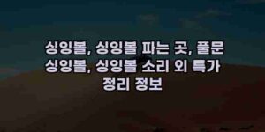 알리파파의 가성비 알리 제품 추천 53837 25