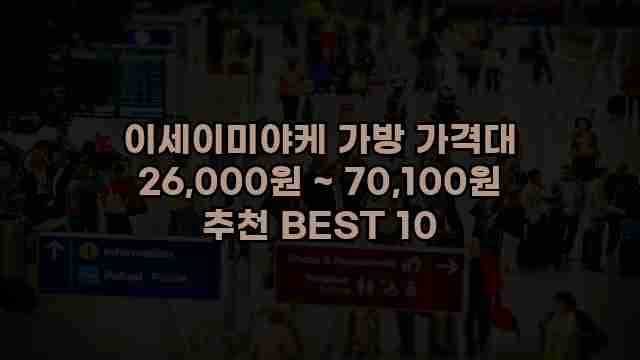 이세이미야케 가방 가격대 26,000원 ~ 70,100원 추천 BEST 10