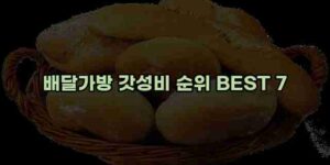 알리파파의 가성비 알리 제품 추천 19529 17