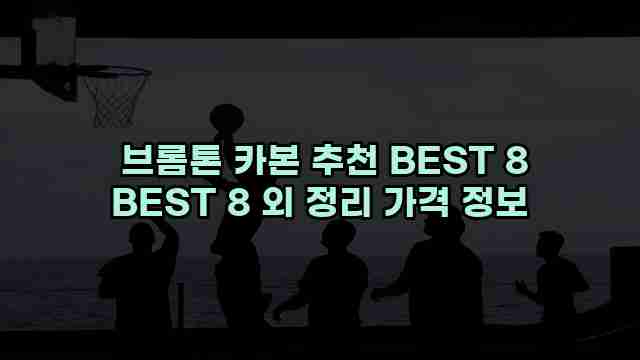  브롬톤 카본 추천 BEST 8 BEST 8 외 정리 가격 정보