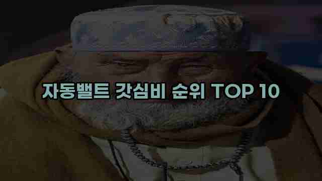 자동밸트 갓심비 순위 TOP 10