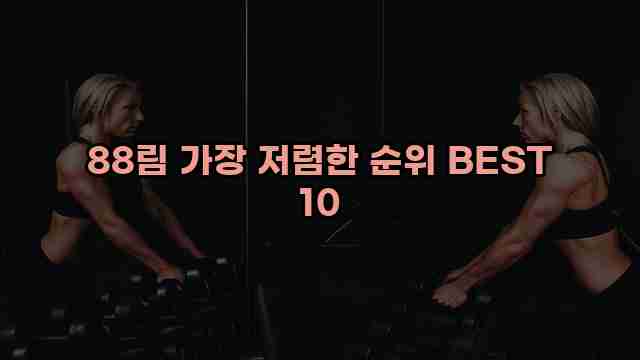 88림 가장 저렴한 순위 BEST 10