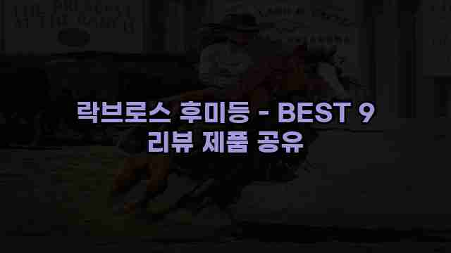 락브로스 후미등 - BEST 9 리뷰 제품 공유