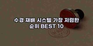 알리파파의 가성비 알리 제품 추천 11571 15