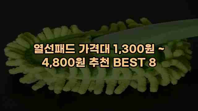 열선패드 가격대 1,300원 ~ 4,800원 추천 BEST 8