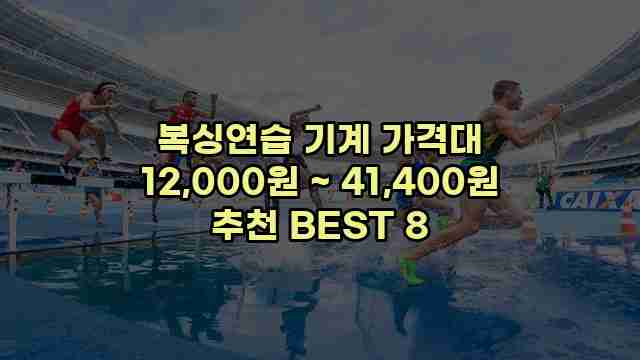 복싱연습 기계 가격대 12,000원 ~ 41,400원 추천 BEST 8