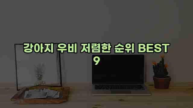 강아지 우비 저렴한 순위 BEST 9