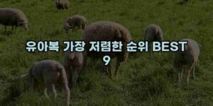 알리파파의 가성비 알리 제품 추천 11457 1