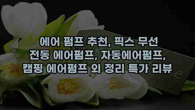  에어 펌프 추천, 픽스 무선 전동 에어펌프, 자동에어펌프, 캠핑 에어펌프 외 정리 특가 리뷰