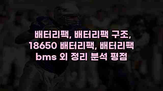  배터리팩, 배터리팩 구조, 18650 배터리팩, 배터리팩 bms 외 정리 분석 평점