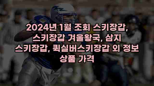 2024년 1월 조회 스키장갑, 스키장갑 겨울왕국, 삼지 스키장갑, 퀵실버스키장갑 외 정보 상품 가격