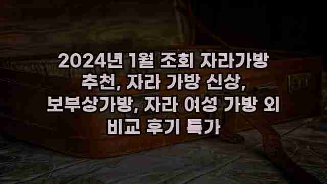 2024년 1월 조회 자라가방 추천, 자라 가방 신상, 보부상가방, 자라 여성 가방 외 비교 후기 특가