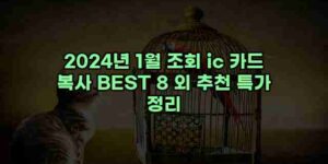 알리파파의 가성비 알리 제품 추천 14863 129