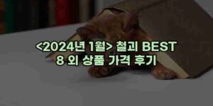 알리파파의 가성비 알리 제품 추천 11874 1