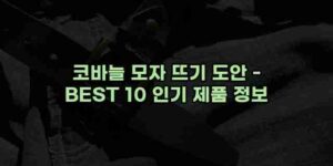 알리파파의 가성비 알리 제품 추천 13730 97