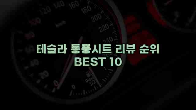 테슬라 통풍시트 리뷰 순위 BEST 10