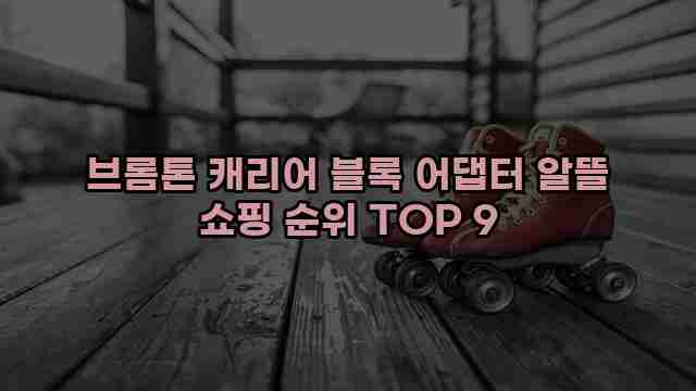 브롬톤 캐리어 블록 어댑터 알뜰 쇼핑 순위 TOP 9