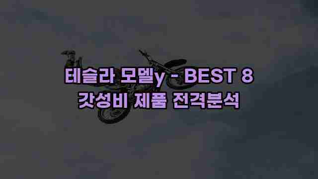 테슬라 모델y - BEST 8 갓성비 제품 전격분석