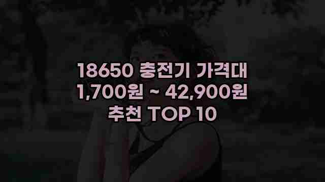 18650 충전기 가격대 1,700원 ~ 42,900원 추천 TOP 10