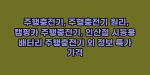 알리파파의 가성비 알리 제품 추천 43008 28