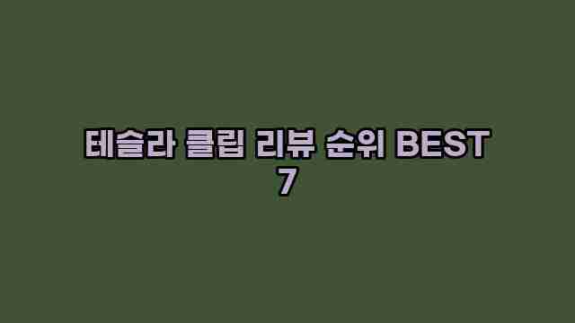 테슬라 클립 리뷰 순위 BEST 7