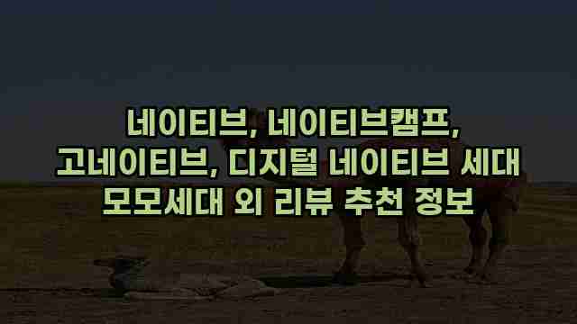  네이티브, 네이티브캠프, 고네이티브, 디지털 네이티브 세대 모모세대 외 리뷰 추천 정보