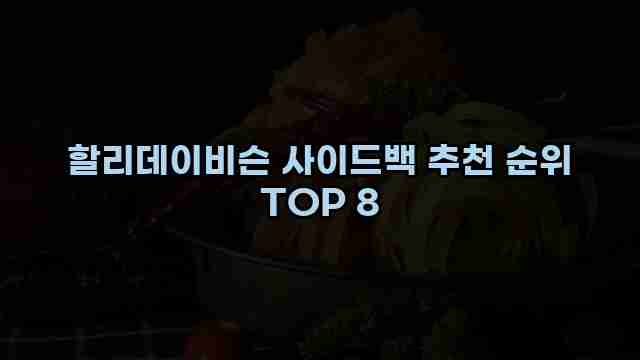 할리데이비슨 사이드백 추천 순위 TOP 8