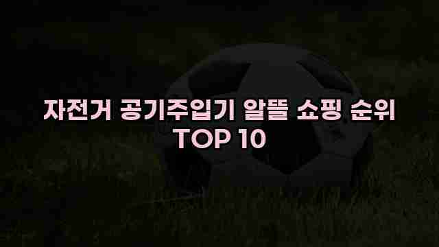 자전거 공기주입기 알뜰 쇼핑 순위 TOP 10