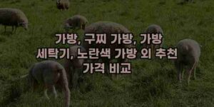 알리파파의 가성비 알리 제품 추천 13355 57