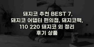 알리파파의 가성비 알리 제품 추천 13074 29