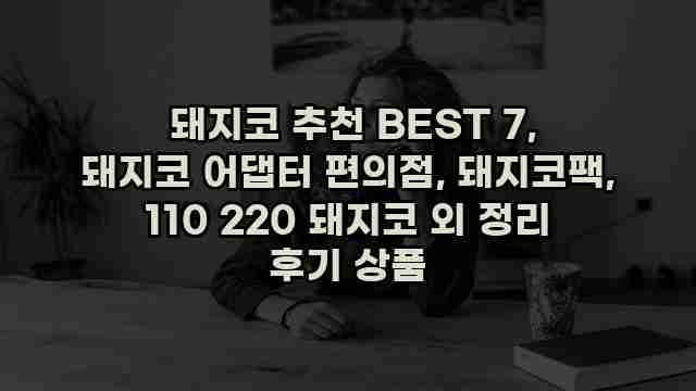  돼지코 추천 BEST 7, 돼지코 어댑터 편의점, 돼지코팩, 110 220 돼지코 외 정리 후기 상품