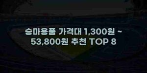 알리파파의 가성비 알리 제품 추천 43602 46